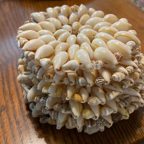 Seashell Coasters - Picture 4 of 4